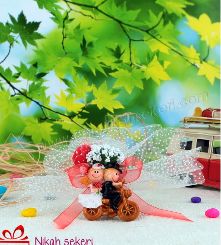 Motorda Gelin Damat B60