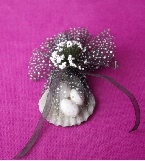 Siyah Tüllü Deniz Kabuğu DK39